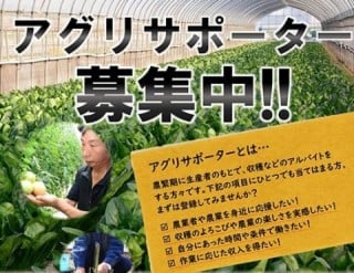 あぐりサポーター募集中‼