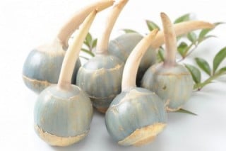 特産農産物のご紹介！
