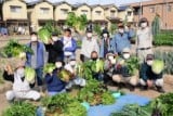 農業塾塾生募集
