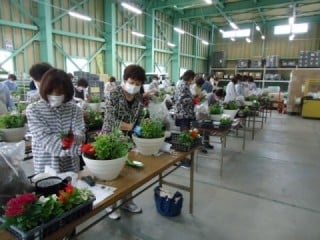 女性部員大募集 女性部員大募集