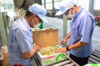 特産農産物のご紹介！