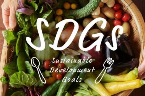 SDGs