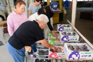 瀬戸ぶどう即売所 瀬戸ぶどう即売所
