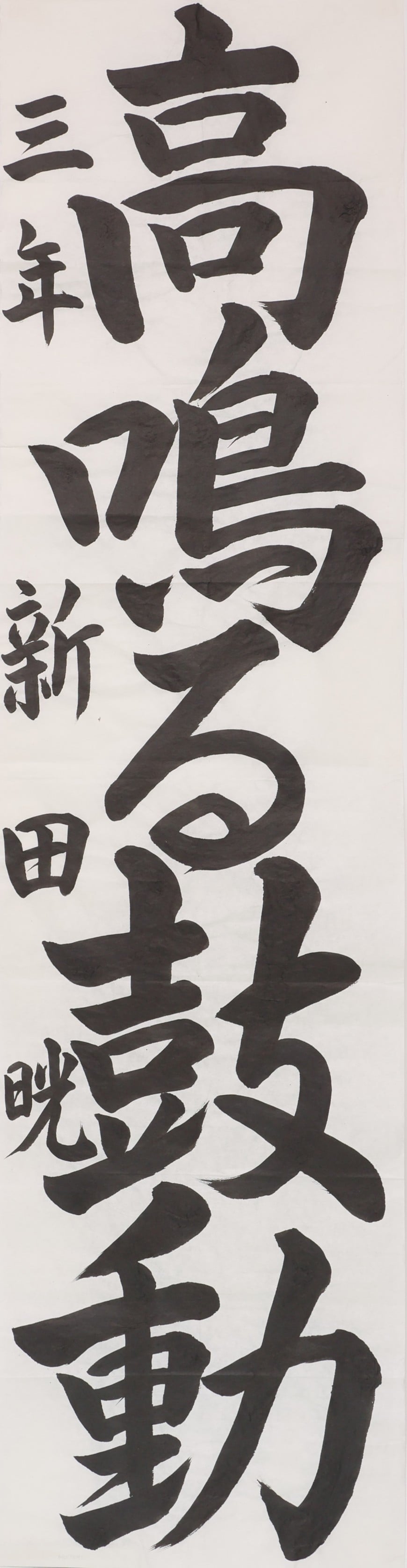 高鳴る鼓動_新田晄さん