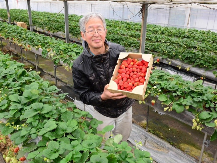 生産者とほ場