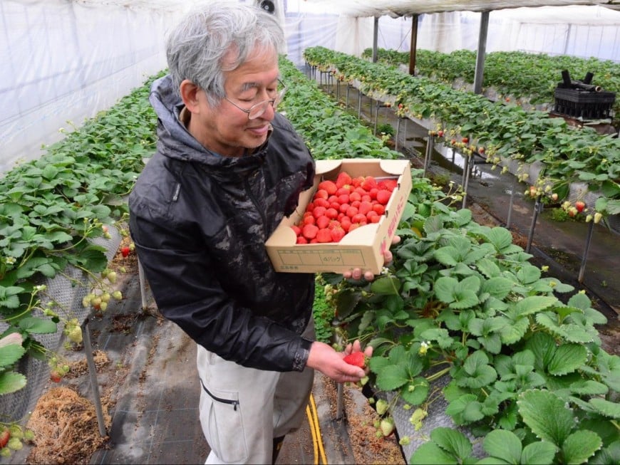 農産物と生産者