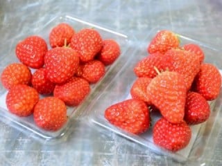 あれこれ
