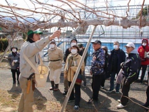農業塾せん定講習会